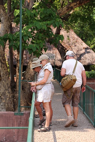 Crocodile Park - Victoria Falls