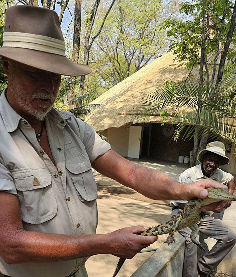Crocodile Park - Victoria Falls