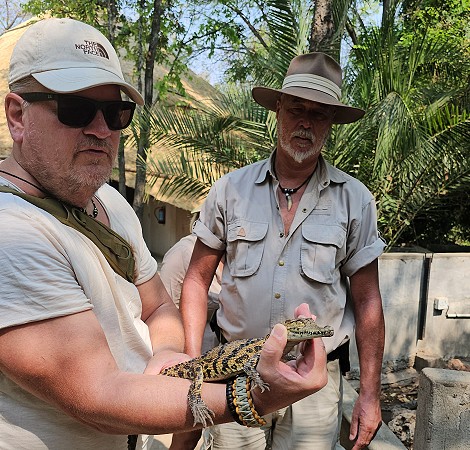 Ein Krokodil in der Hand, Crocodile Park - Victoria Falls