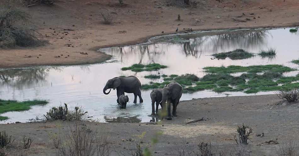 Victoria Falls Safari Lodge - Zambesi National Park
