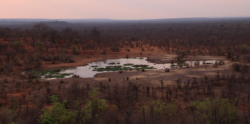 Victoria Falls Safari Lodge - Zambesi National Park