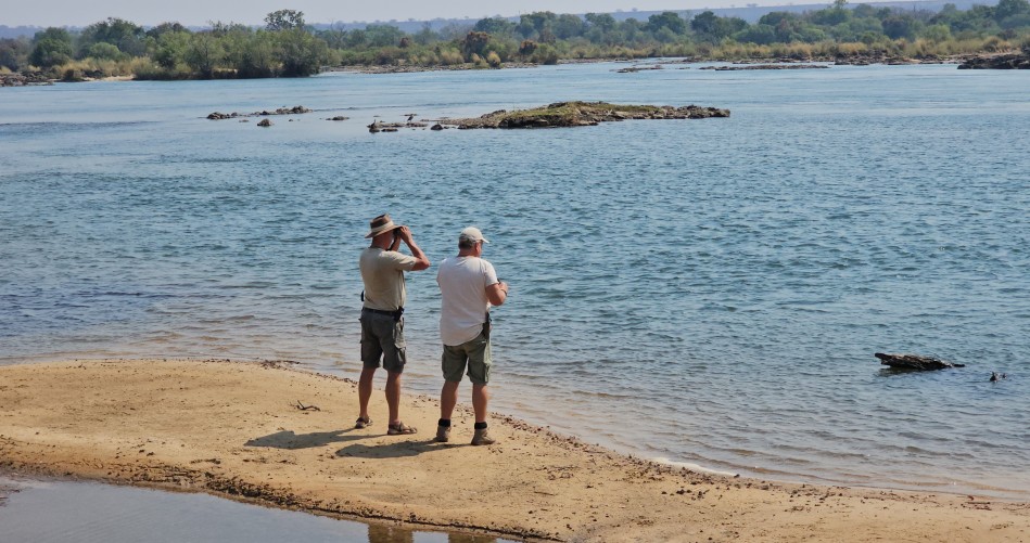 Am Ufer des Zambesi im Zambesi National Park