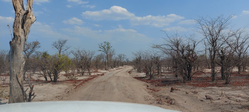 sandige Pusten im Zambesi National Park