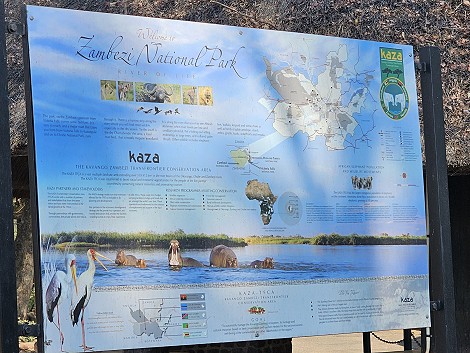 Zambesi National Park - Zimbabwe