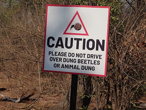 Auf Pirschfahrt im Zambesi National Park