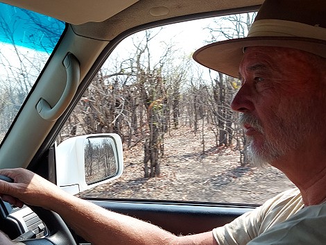 Auf Pirschfahrt im Zambesi National Park