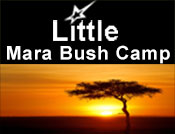 Little Mara Bush Camp