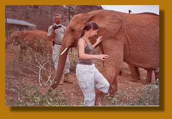 Jenny mit den Elefantenwaisen, Voi