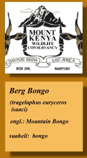 Mount Kenya Wildlife Conservancy!
