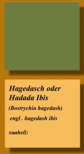 frei Werbefl&auml;che