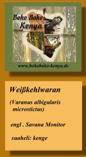 Noko Boko Kikambala, Afrika individuell