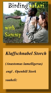 Birding Safari mit Sammy
