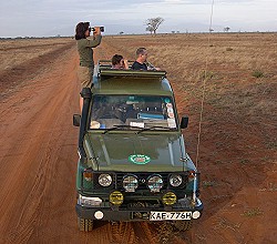 Margit Ruiggieri, Kiwara Safaris auf Game Drive
