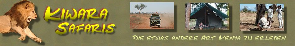 Kiwara Safaris, individuelle Safaris