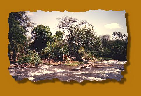 Tana River, Meru National Park