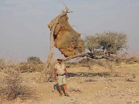 Unterwegs auf der C14 in Richtung Swakopmund