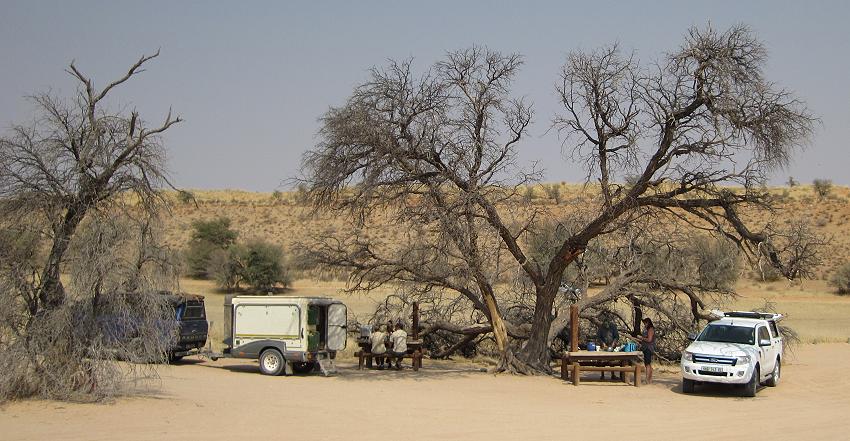 Kgalagadi Transfrontier Park