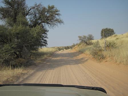 Kgalagadi Transfrontier Park