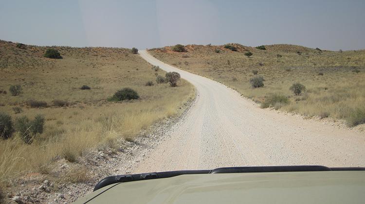 Kgalagadi Transfrontier Park