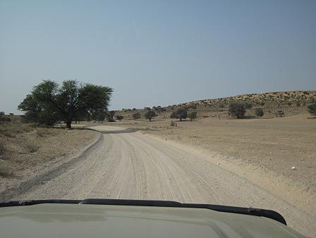 Kgalagadi Transfrontier Park