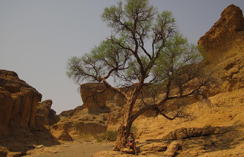 Sesriem Canyon