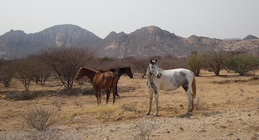 Erongo Berge
