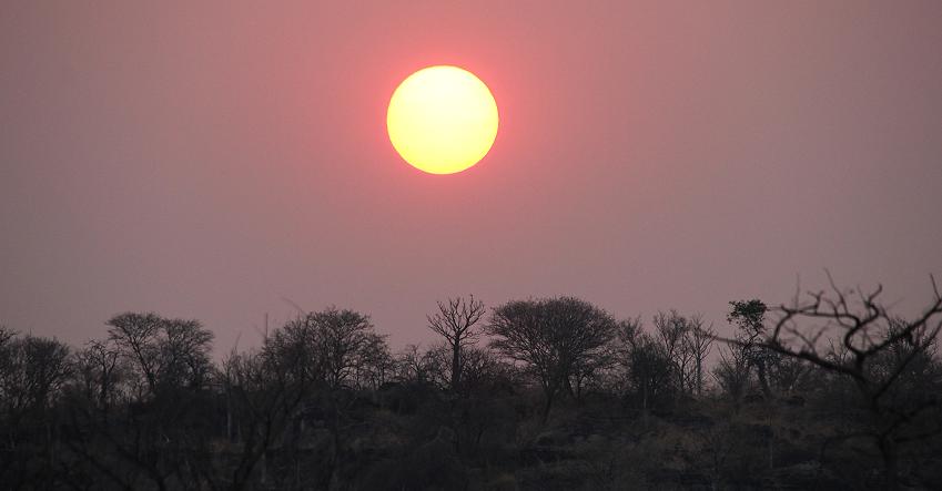 Etoscha Sonnenaufgang
