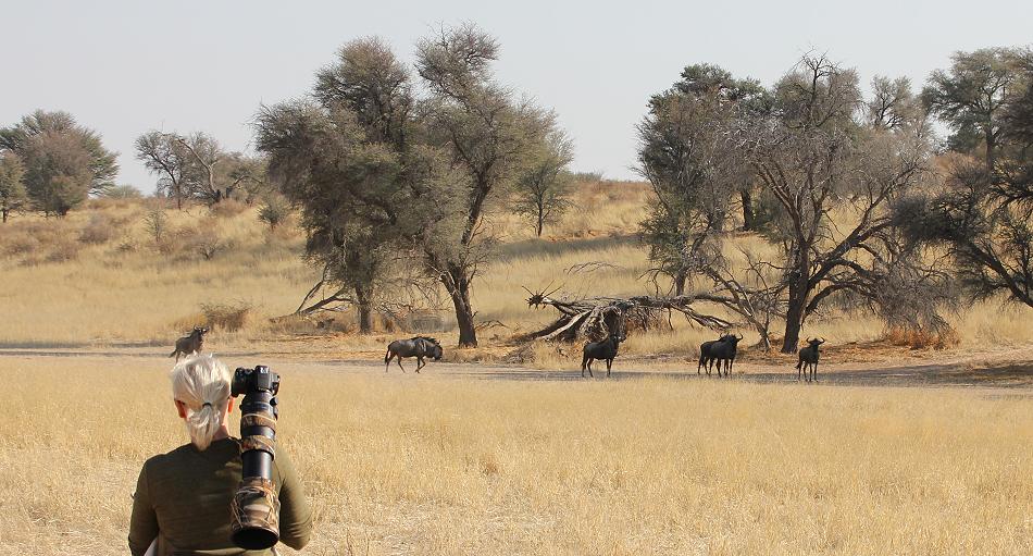 Kalahri Game Lodge