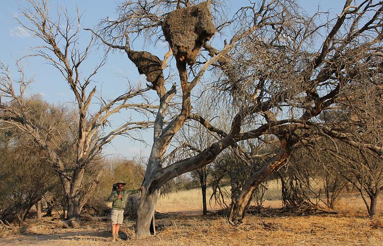 Kalahri Game Lodge