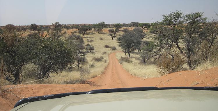 Kalahari Game Lodge