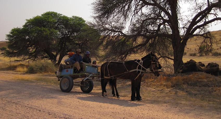 San in Namibia