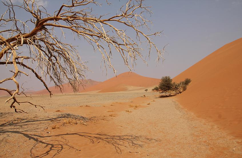 Sossusvlei