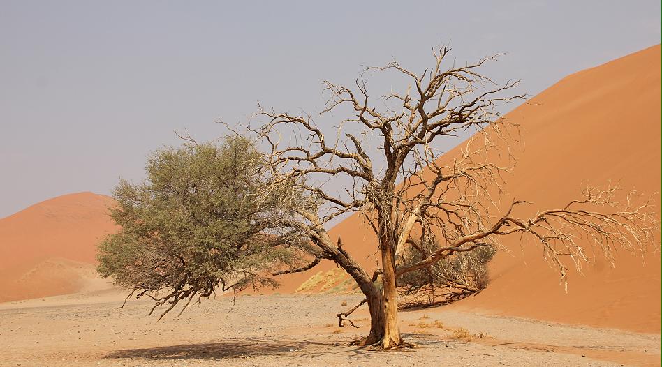 Sossusvlei