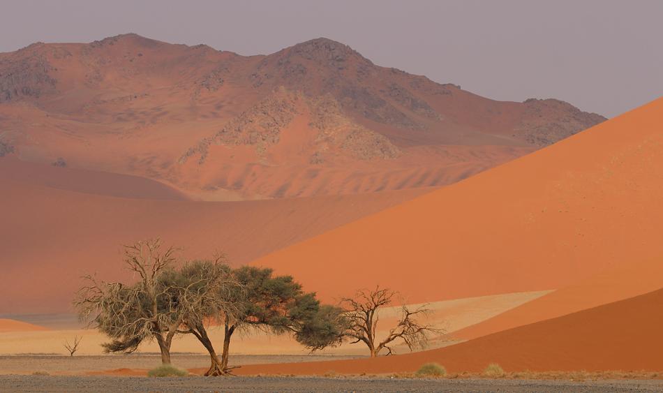 Sossusvlei