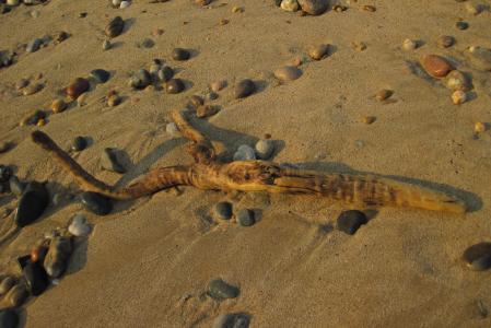 Swakopmund Strand