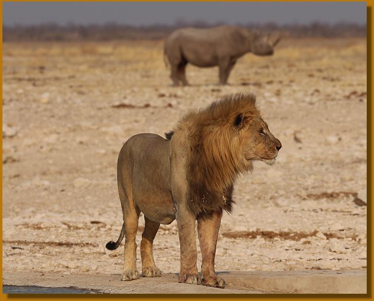 Etoscha National Park