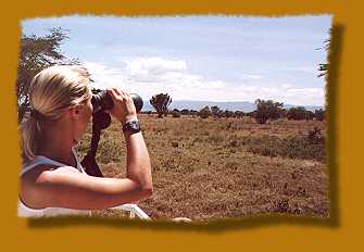 Manchmal musste das Wild mit dem Fernglas gesucht werden...