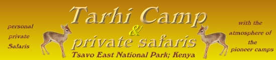 Tarhi Camp, Tsavo East