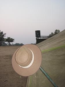 Zambesi Bush Camp 3 - Ilala, mana pools national park