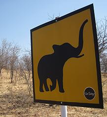 Zambesi Drive, Zimbabwe