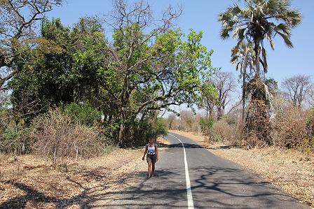 Zambesi Drive, Zimbabwe