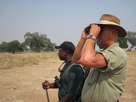 bush walk with Henry Bandure - Mana Pools National Park