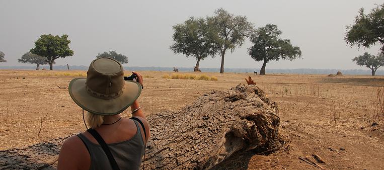 bush walk with Henry Bandure - Mana Pools National Park