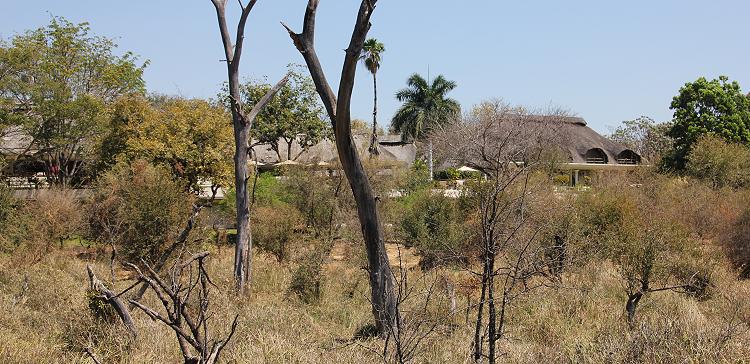 Ilala Lodge - Victoria Falls