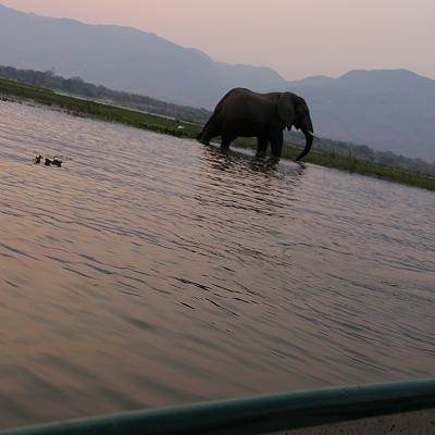 mit dem Kanu auf dem Zambesi, mana pools canoe trail