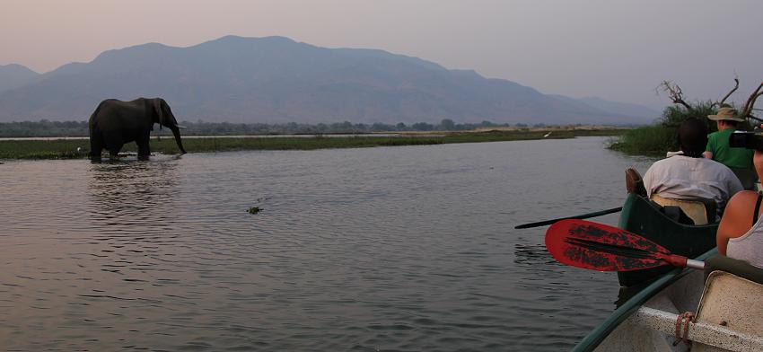 mit dem Kanu auf dem Zambesi, mana pools canoe trail