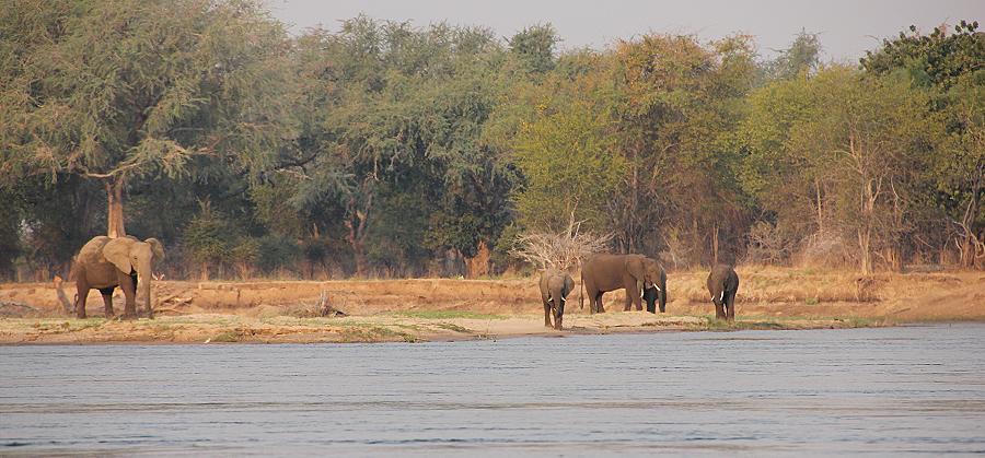 mit dem Kanu auf dem Zambesi, mana pools canoe trail
