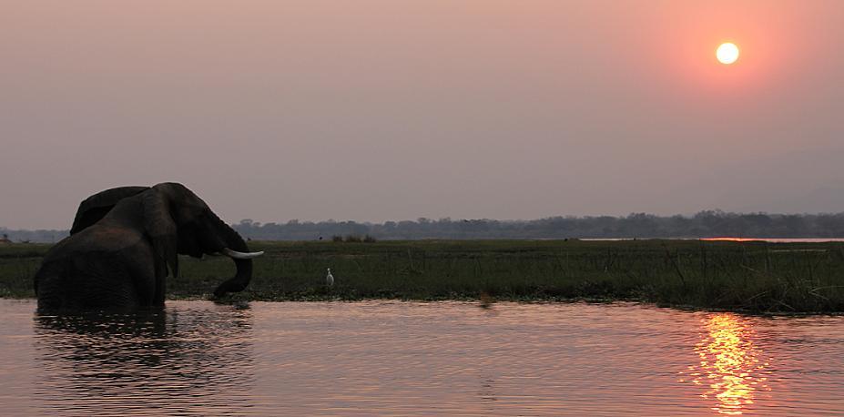 mit dem Kanu auf dem Zambesi, mana pools canoe trail