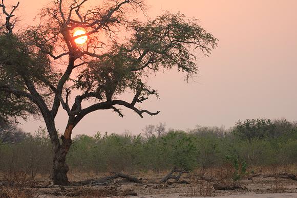 with Daniel Peel on Game Drive - Ruckomechi Conservation Area