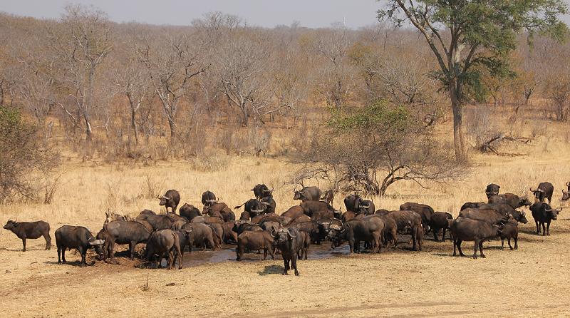 Stanley and Livingstone private game reserve